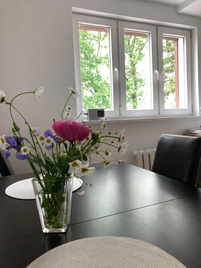 Apartament Karolewo Karolewo  Buitenkant foto